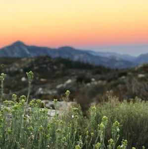 Meet your Posher, Kendall